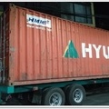 The imported frozen panel has arrived.