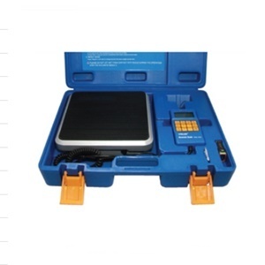 Refrigerant scale