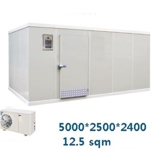 Walk in Freezer(12.5sqm)