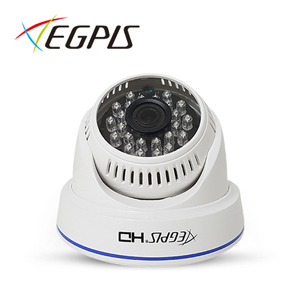 EGPIS-DOME CAMERA
