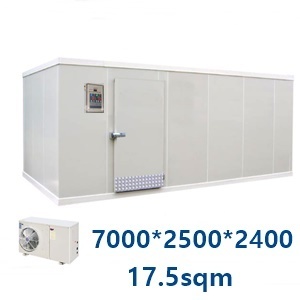 Walk in Freezer(17.5/18sqm)