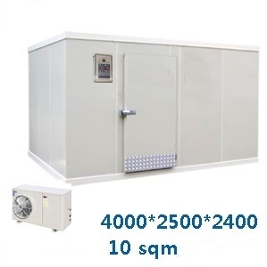 Walk in Freezer(10sqm)
