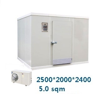 Walk in Freezer(5sqm)