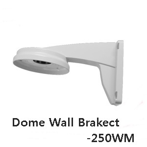 Dome Wall Bracket-WM250
