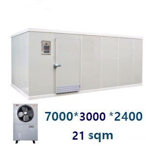 Walk in Freezer(21sqm)