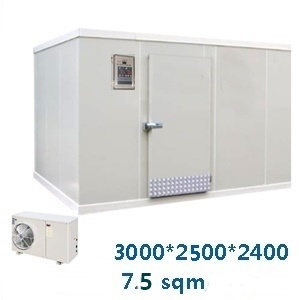 Walk in Freezer(7.5sqm)